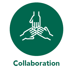 We commit to working cooperatively with partners, stakeholders, and allies in co-creating or producing outcomes of more significant benefit or value.